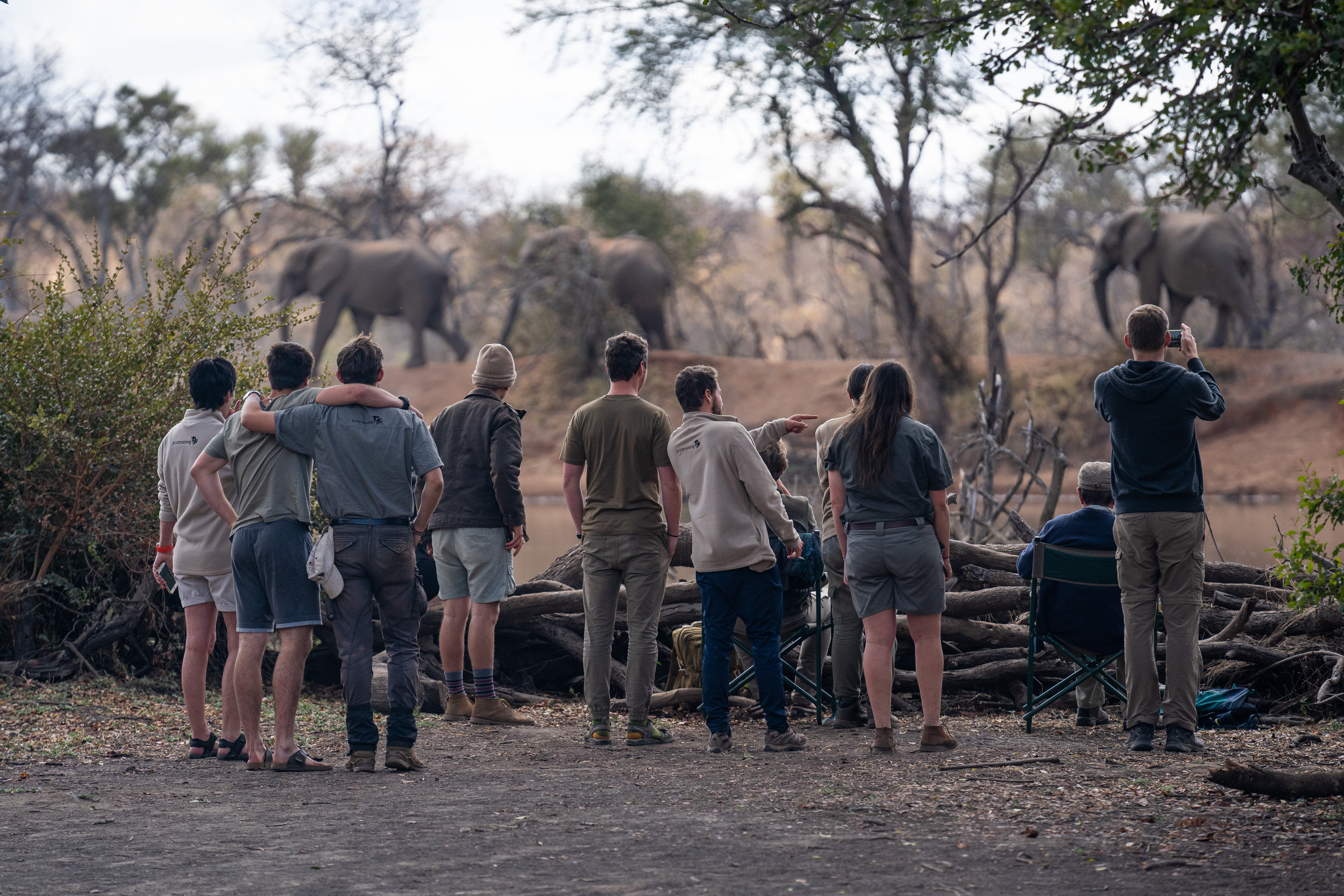 South Africa Experience Banner